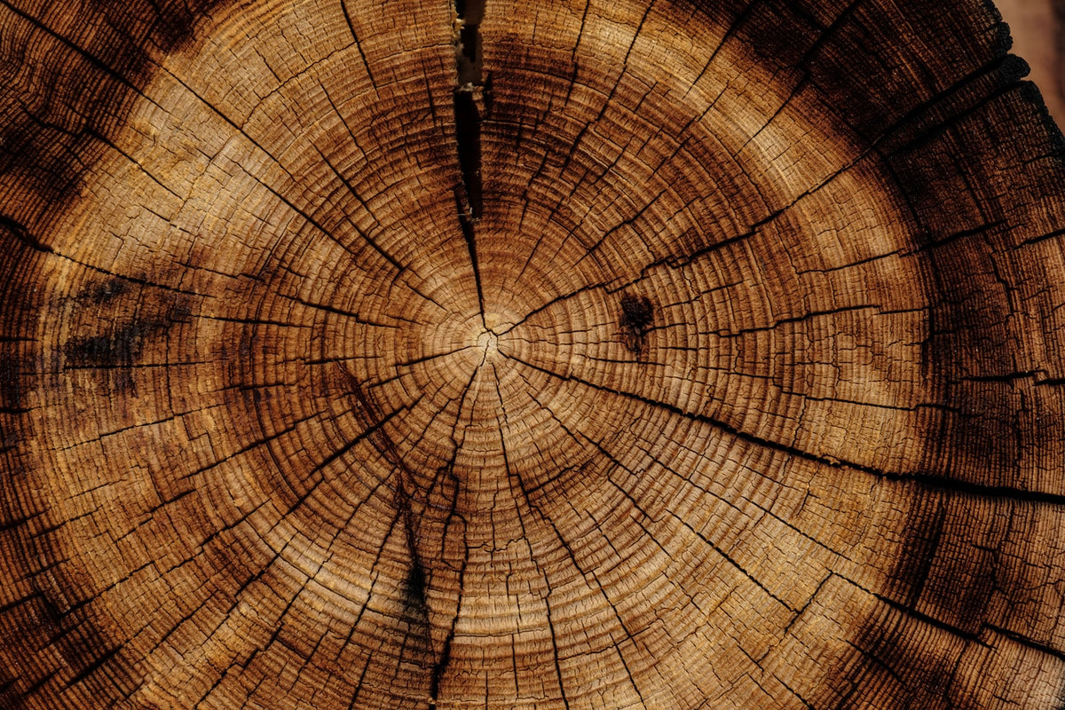Difference between Hard Wood and Soft Wood