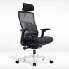 INSPIRON Black (Mesh Seat)