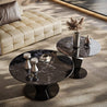 centre table-metal base-elegant