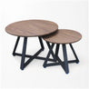 AXON Set of 2 Tables