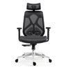 ERGO Black (Mesh Seat)