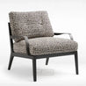Patterned armchair with black frame on a white background