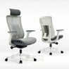 Inspiron White (Mesh Seat) Executive Chair
