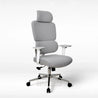Gray office chair with adjustable headrest on a white background