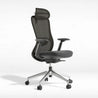 STOLICA HB